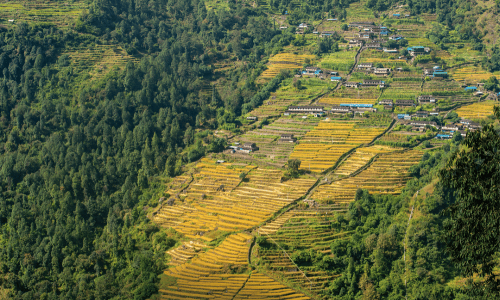 Annapurna Base Camp Trek