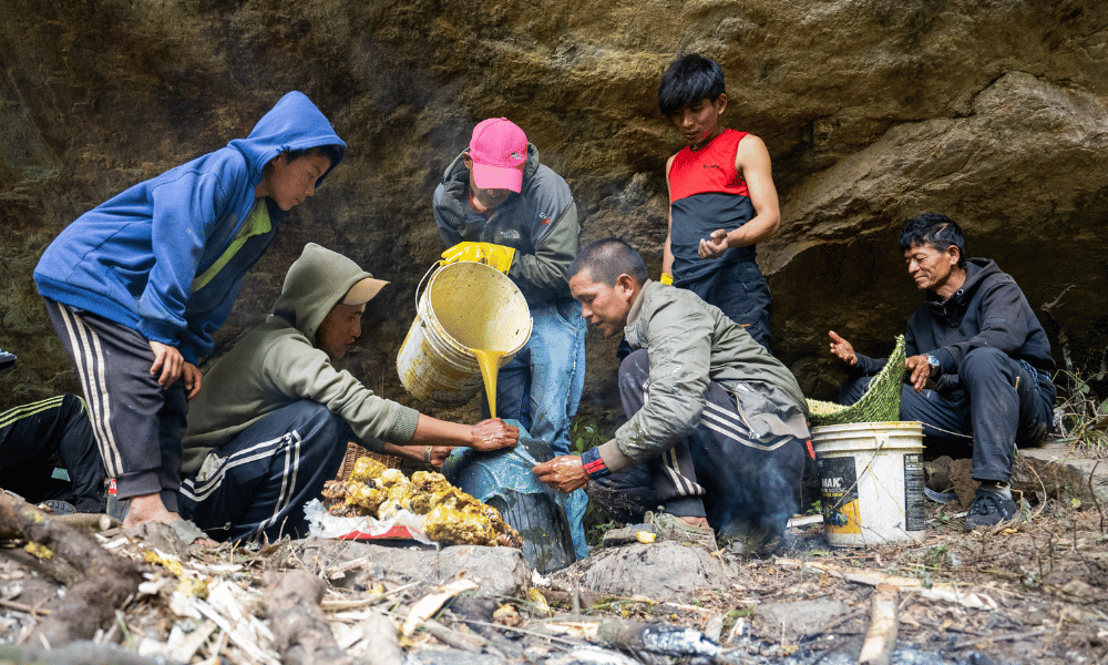 Nepal honey hunting tour from Kathmandu